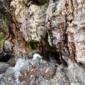 Phone - IMG_9643