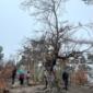 Phone - IMG_9637
