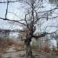 Phone - IMG_9642