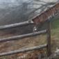 Phone - IMG_9635