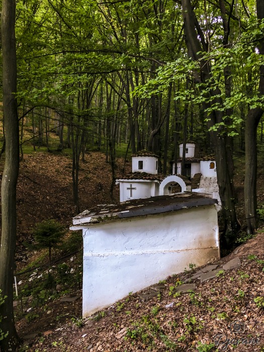 Chapel of St. George 10