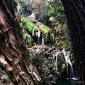Krushuna Waterfall