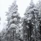 хижа Върховръх 4
