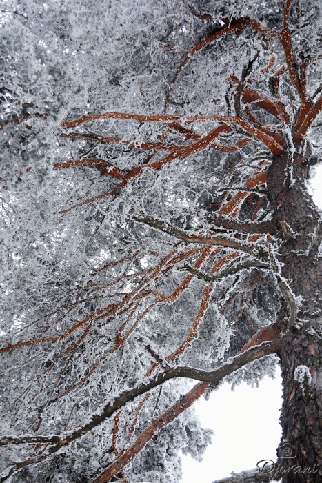 хижа Върховръх 3